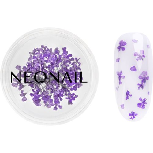 Dried Flowers fiore secco per le unghie colore 06 Violet 1 pz - NeoNail - Modalova