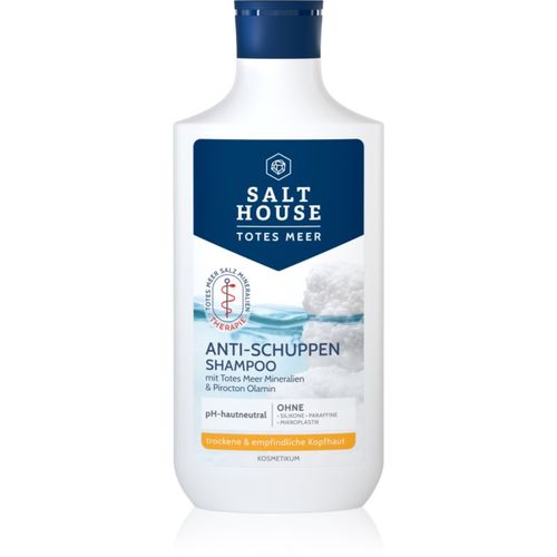 Dead Sea Therapy Anti-dandruff Shampoo champú anticaspa 250 ml - Salt House - Modalova