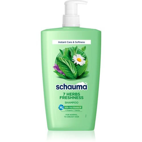 Schauma 7 Herbs Freshness champú de hierbas para el cabello normal hasta graso 1000 ml - Schwarzkopf - Modalova