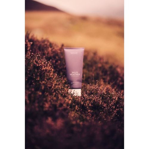 Wild Heather gel de ducha 200 ml - Scottish Fine Soaps - Modalova