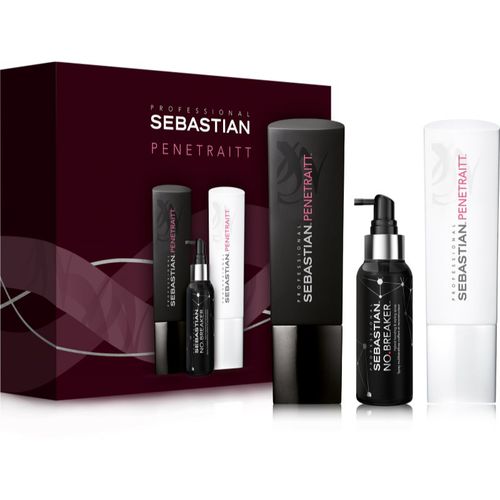 Penetraitt lote de regalo (para cabello dañado, químicamente tratado) - Sebastian Professional - Modalova