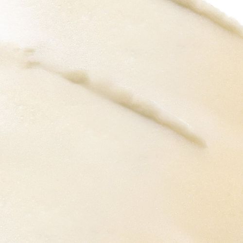 Source Nutrition bálsamo nutritivo para pieles secas 20 g - Payot - Modalova