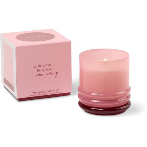 Stack Saffron Rose vela perfumada con tapa 198 g - Paddywax - Modalova