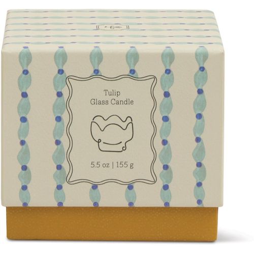 Tulip Wisteria & Willow vela perfumada 155 g - Paddywax - Modalova