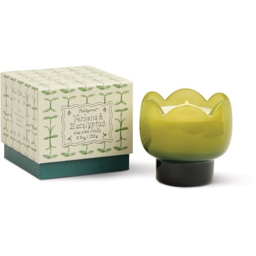 Tulip Verbena & Lemongrass vela perfumada 155 g - Paddywax - Modalova