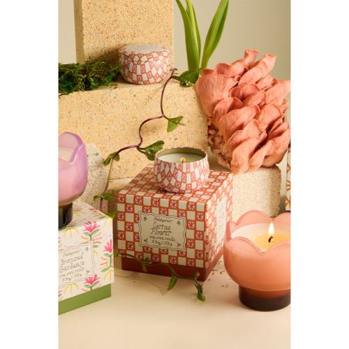Tulip Cactus Flower vela perfumada 155 g - Paddywax - Modalova
