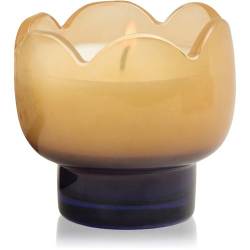 Tulip Garden & Grove vela perfumada 155 g - Paddywax - Modalova