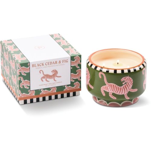 A Dopo Tiger vela perfumada de cerámica 680 g - Paddywax - Modalova