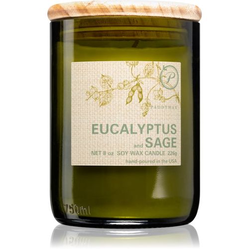 Eco Green Eucalyptus & Sage vela perfumada 226 g - Paddywax - Modalova