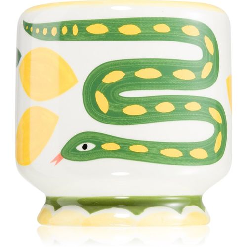 A Dopo Snake vela perfumada 226 g - Paddywax - Modalova
