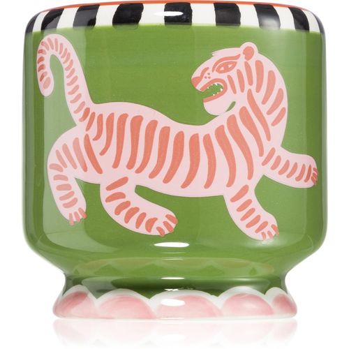 A Dopo Tiger vela perfumada 226 g - Paddywax - Modalova