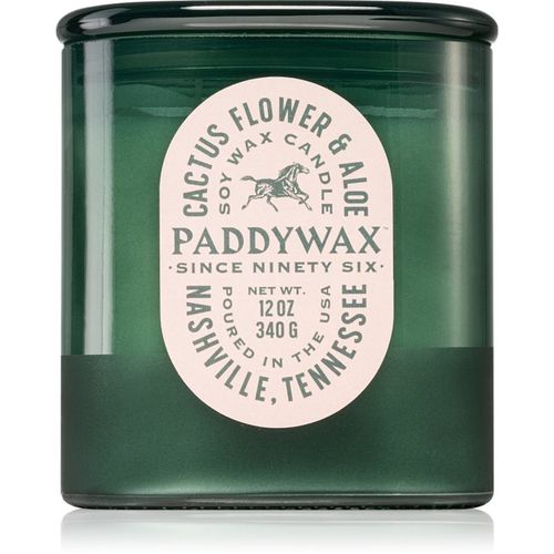Vista Cactus Flower & Aloe vela perfumada 340 g - Paddywax - Modalova