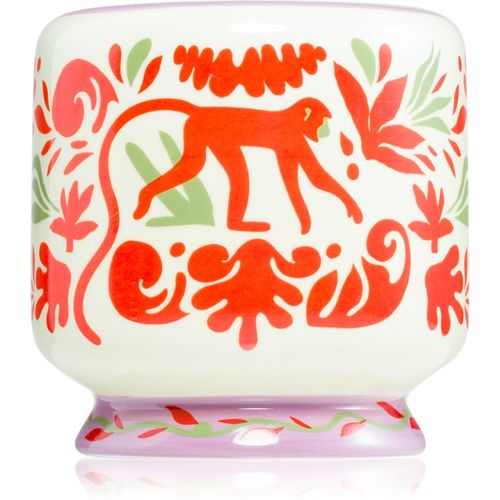 A Dopo Jungle vela perfumada 226 g - Paddywax - Modalova