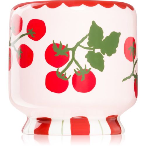 A Dopo Tomato Vine vela perfumada 226 g - Paddywax - Modalova