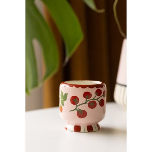 A Dopo Tomato Vine vela perfumada 226 g - Paddywax - Modalova