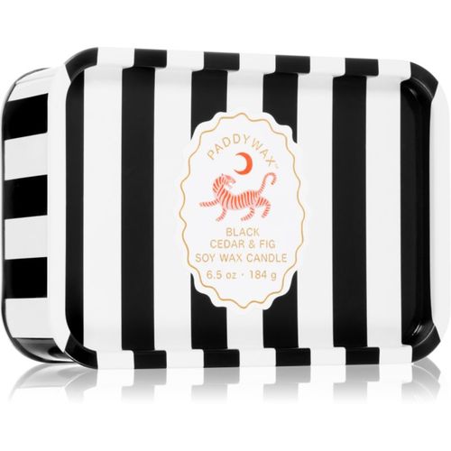 A Dopo Tiger vela perfumada 184 g - Paddywax - Modalova