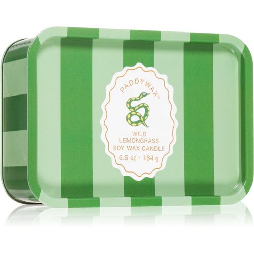 A Dopo Snake vela perfumada 184 g - Paddywax - Modalova