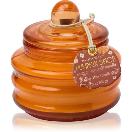 Pumpkin Spice vela perfumada 58 g - Paddywax - Modalova
