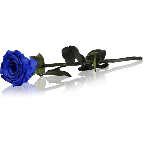 Blue rosa preservada con tallo 1 ud - RoseAmor - Modalova