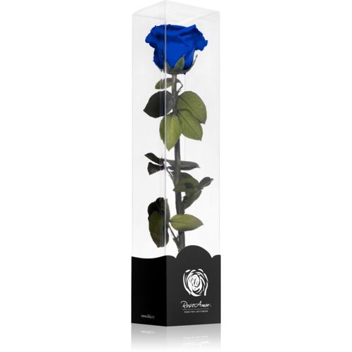 Blue rosa preservada con tallo 1 ud - RoseAmor - Modalova