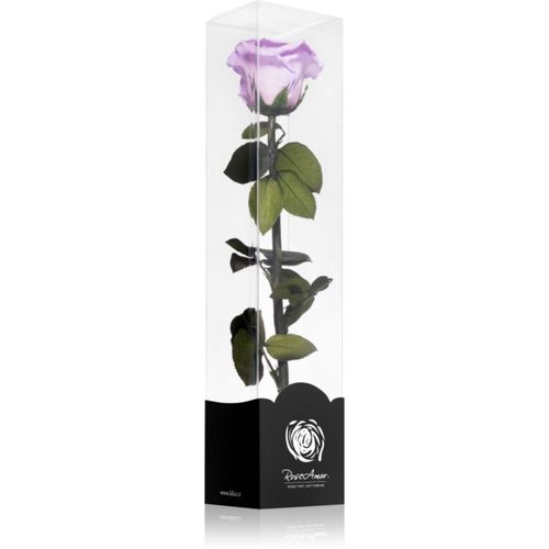 Lila rosa preservada con tallo 30 cm 1 ud - RoseAmor - Modalova