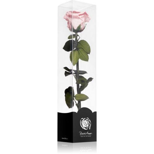 Pink rosa preservada con tallo 30 cm 1 ud - RoseAmor - Modalova