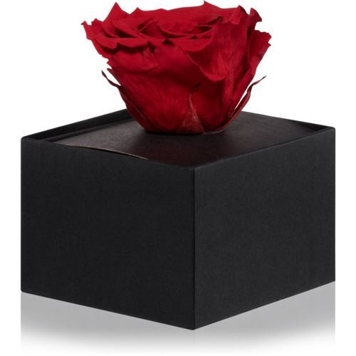 Red rosa preservada en caja 1 ud - RoseAmor - Modalova
