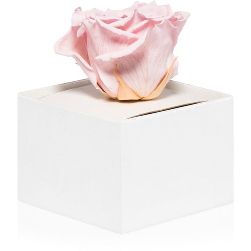 Pink rosa preservada en caja 1 ud - RoseAmor - Modalova