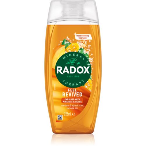 Feel Revived gel de ducha 225 ml - Radox - Modalova