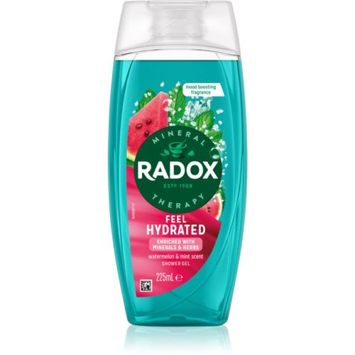Feel Hydrated gel de ducha 225 ml - Radox - Modalova