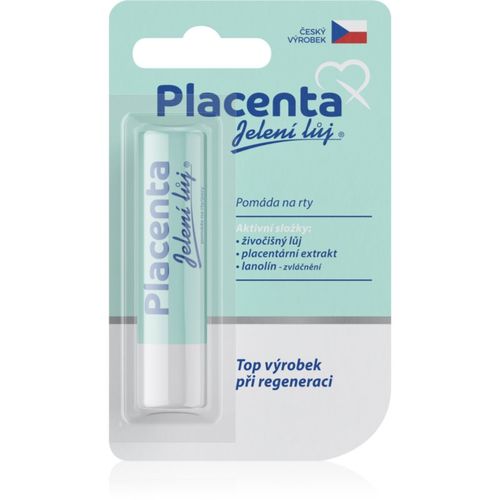Placenta bálsamo labial con placenta 4.5 g - Regina - Modalova