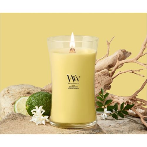 Solar Orchid vela perfumada con mecha de madera 610 g - Woodwick - Modalova