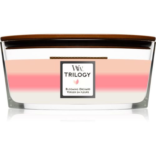 Trilogy Blooming Orchard vela perfumada 453,6 g - Woodwick - Modalova