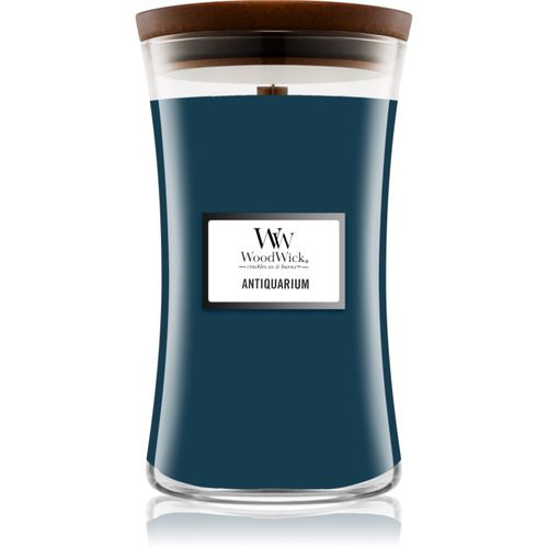 Antiquarium vela perfumada 610 g - Woodwick - Modalova