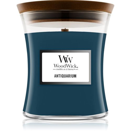 Antiquarium vela perfumada 275 g - Woodwick - Modalova