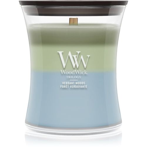 Trilogy Verdant Woods vela perfumada con mecha de madera 275 g - Woodwick - Modalova
