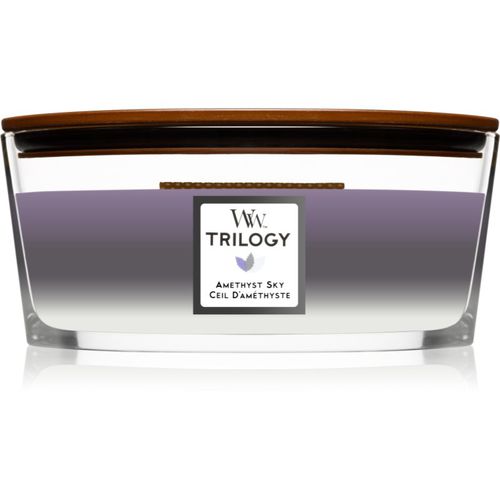 Trilogy Amethyst Sky Duftkerze mit holzdocht (hearthwick) 453,6 g - Woodwick - Modalova