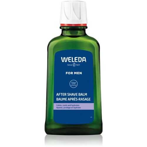 Men bálsamo after shave 100 ml - Weleda - Modalova
