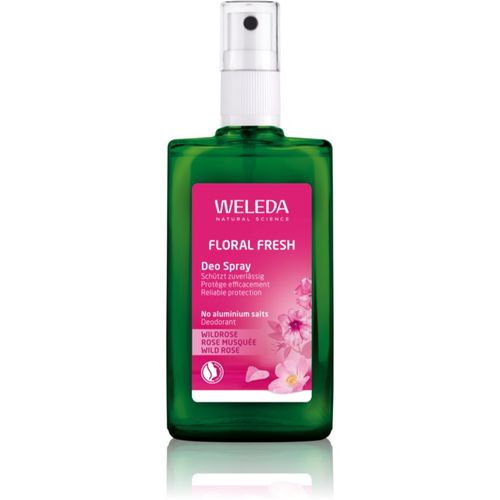 Weleda Rose desodorante 100 ml - Weleda - Modalova