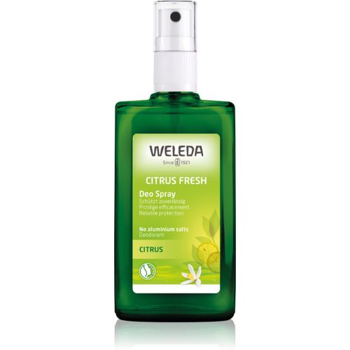 Weleda Citrus deodorante 100 ml - Weleda - Modalova