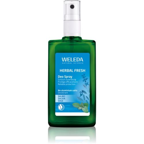 Weleda Sage desodorante 100 ml - Weleda - Modalova