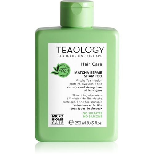 Hair Matcha Repair Shampoo champú para fortalecer el cabello 250 ml - Teaology - Modalova