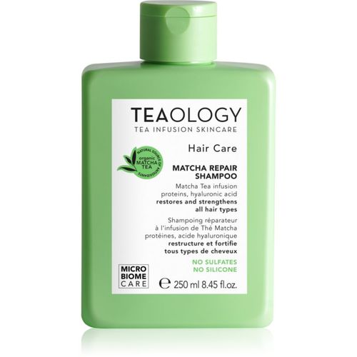 Matcha Tea Repair Shampoo champú para fortalecer el cabello 250 ml - Teaology - Modalova
