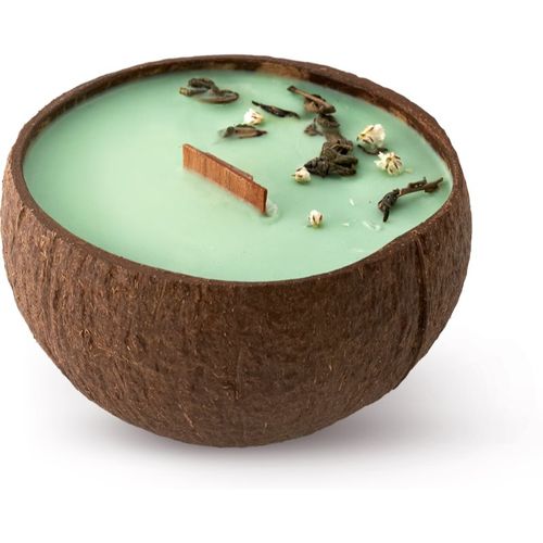 Green Tea vela perfumada con mecha de madera 350 ml - Tropicandle - Modalova