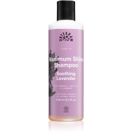 Soothing Lavender champú calmante para dar brillo y suavidad al cabello 250 ml - Urtekram - Modalova