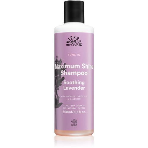 Soothing Lavender shampoo lenitivo per capelli brillanti e morbidi 250 ml - Urtekram - Modalova