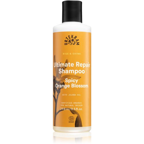 Spicy Orange Blossom champú para el cabello seco y dañado 250 ml - Urtekram - Modalova