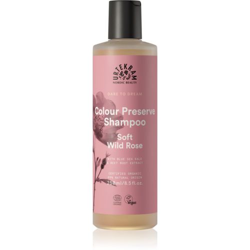 Soft Wild Rose shampoo delicato per capelli tinti 250 ml - Urtekram - Modalova