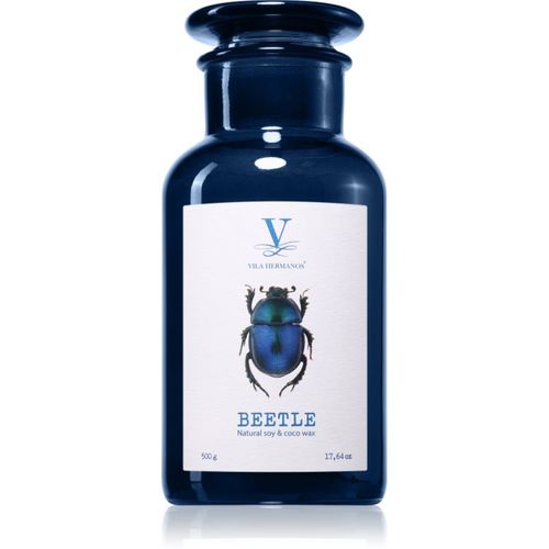Talisman Beetle vela perfumada 500 g - Vila Hermanos - Modalova