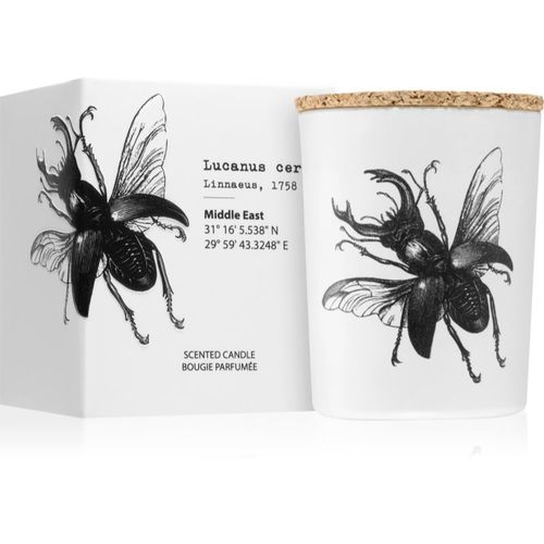 Insect Lucanus Cervus vela perfumada 75 g - Vila Hermanos - Modalova